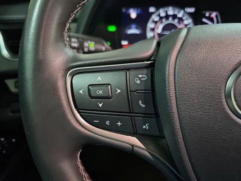 Lexus UX 2.0 250h Premium