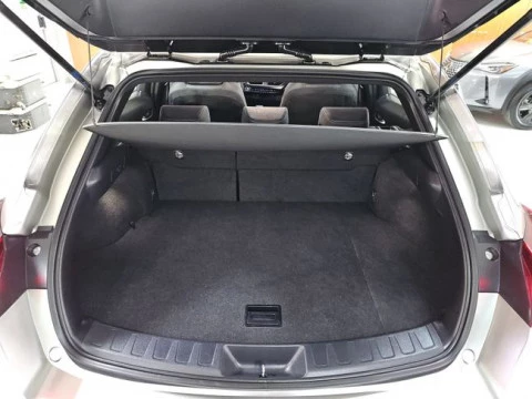 Lexus UX 2.0 250h Premium