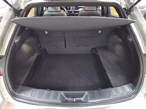 Lexus UX 2.0 250h Premium