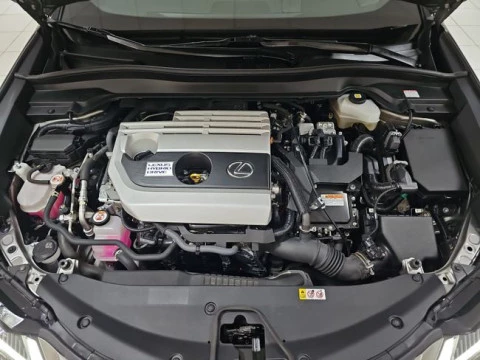 Lexus UX 2.0 250h Premium