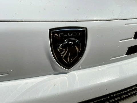 Peugeot Partner Standard 600kg BlueHDi 100CV Manual