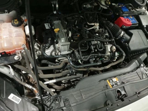 Ford Focus 1.0 Ecoboost MHEV 92kW Trend+ SB