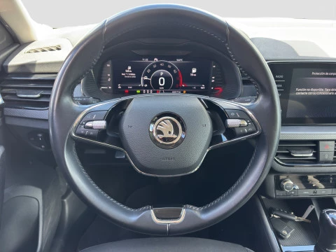 Skoda Kamiq 1.0 TSI 81kW (110CV) DSG Ambition