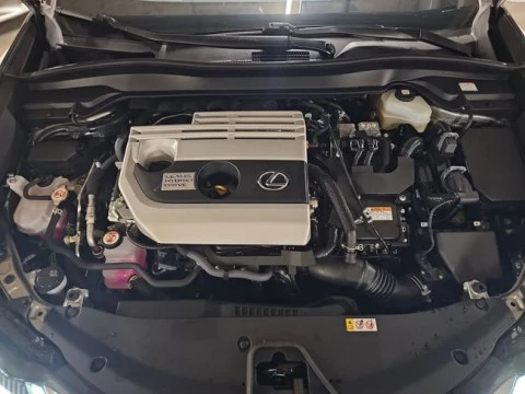 Lexus UX 2.0 250h Business