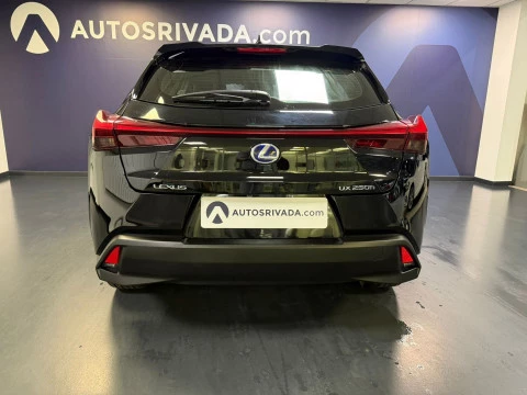 Lexus UX 2.0 250h Business