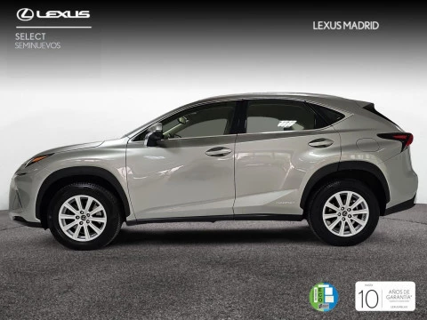 Lexus NX 2.5 300h Business Navigation 2WD