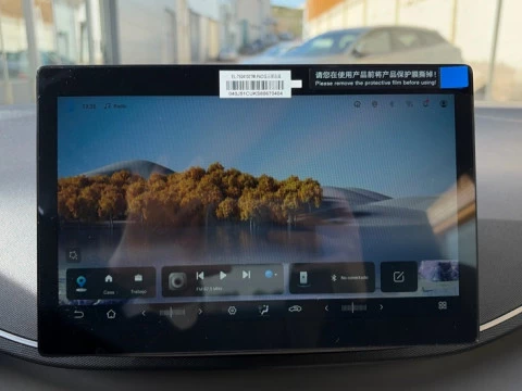 BYD DOLPHIN SURF BOOST 