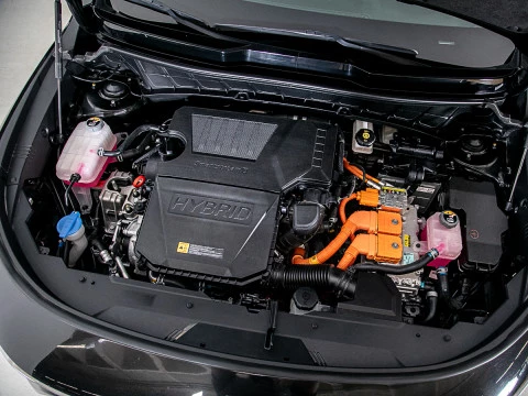 Kia Niro 1.6 GDi HEV 95kW (129CV) Drive