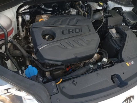 Kia Sportage 1.6 MHEV Business 100kW (136CV) 4x4