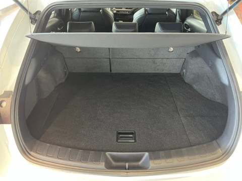 Lexus UX 2.0 250h F Sport