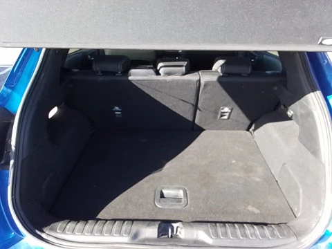 Ford Puma 1.5 Ecoblue 120cv Titanium