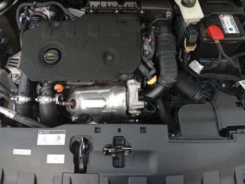 Peugeot 308 5P Business Line BlueHDi 100 S&S 6V MAN