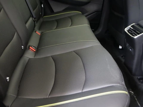 Tiger SIX todoterreno 1.5T LPG DCT 5P