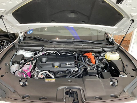 Lexus RX 450h+ Executive