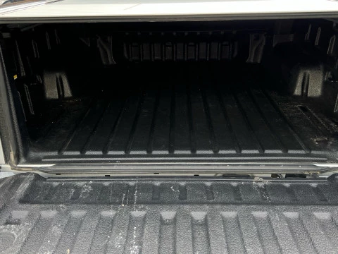 Ford Ranger 2.0 Ecobl 151kW e-AWD D Cab Wildtrack AT