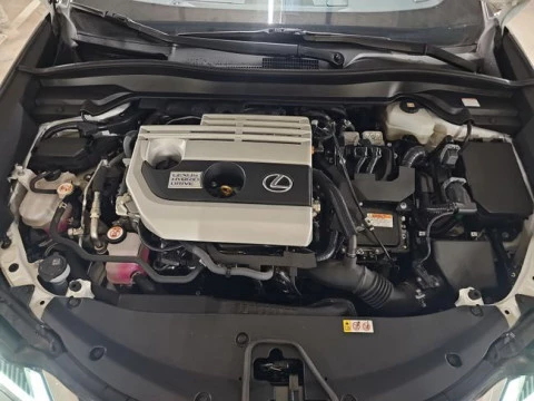 Lexus UX 2.0 250h Business