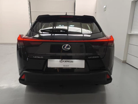 Lexus UX 250h Premium 2WD