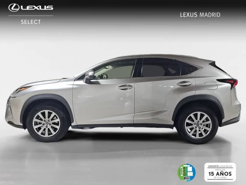 Lexus NX 2.5 300h Business 2WD