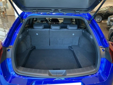 Lexus UX 2.0 300h F Sport