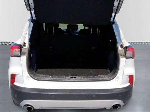 Ford Kuga Titanium 2.0 EcoBlue MHEV 110kW (150CV)