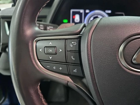 Lexus UX 300e Business
