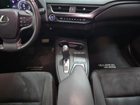Lexus UX 300e Business