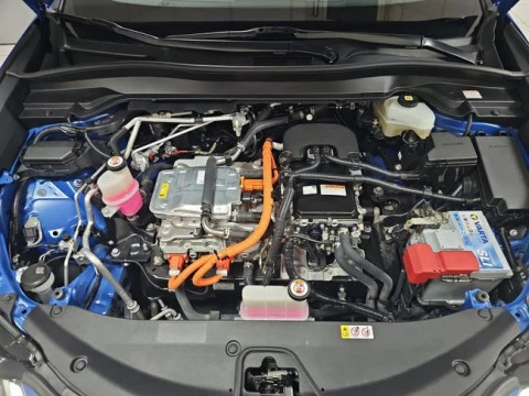 Lexus UX 300e Business