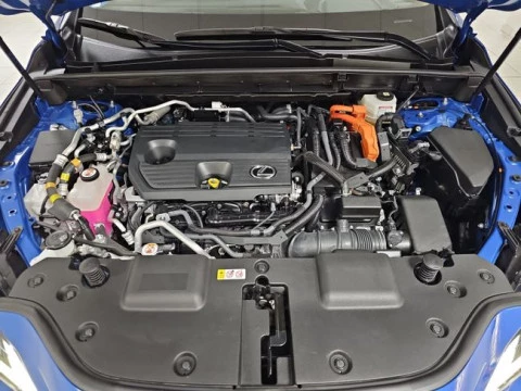 Lexus NX 450h+ Executive 4WD