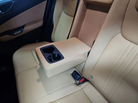 Lexus NX 450h+ Executive 4WD