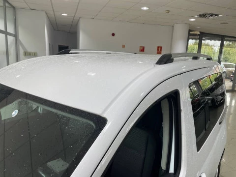 Ford Tourneo Connect 2.0 Ecoblue 90kW Titanium