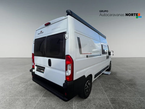 ROLLER TEAM LIVINGSTONE 5 LIVINGSTONE 5