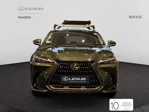 Lexus NX 350h Business City 2WD