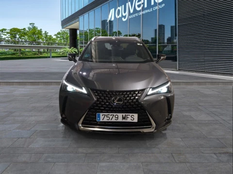 Lexus UX 2.0 250h Business