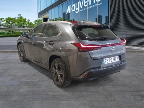 Lexus UX 2.0 250h Business