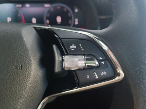 Skoda Kamiq 1.0 TSI 81kW (110CV) DSG SCOUT