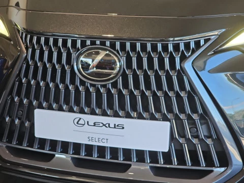 Lexus NX 350h Business City 2WD