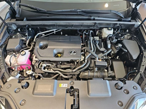 Lexus NX 350h Business City 2WD