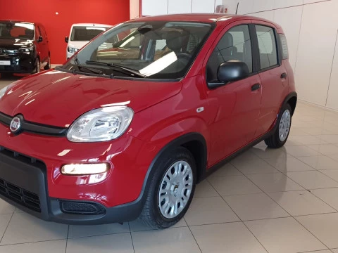 Fiat Panda Panda 1.0 Hybrid 51kW (70cv) ICON