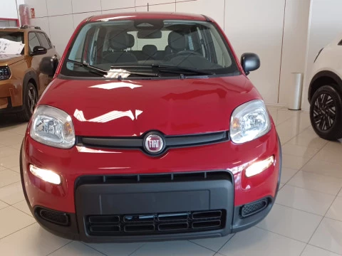 Fiat Panda Panda 1.0 Hybrid 51kW (70cv) ICON