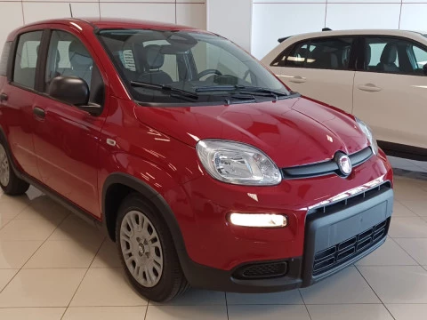 Fiat Panda Panda 1.0 Hybrid 51kW (70cv) ICON