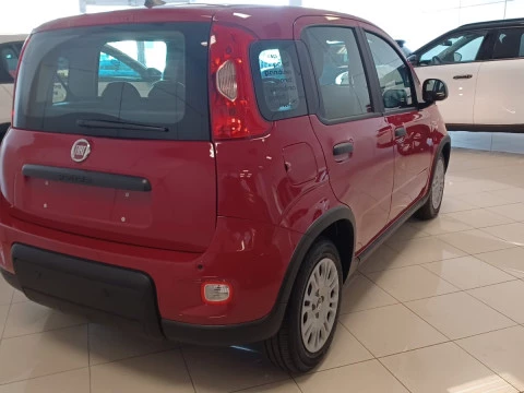 Fiat Panda Panda 1.0 Hybrid 51kW (70cv) ICON