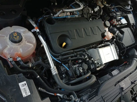 Ford Kuga Titanium 2.0 EcoBlue MHEV 110kW (150CV)