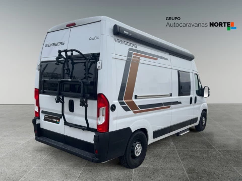 WEINSBERG CARABUS CARABUS