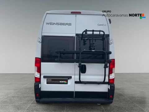 WEINSBERG CARABUS CARABUS