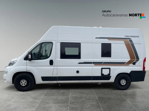 WEINSBERG CARABUS CARABUS