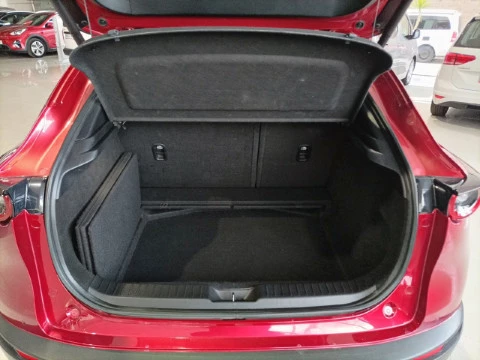 Mazda CX-30 e-SKYACTIV-G 2.0 90 kW 2WD AT Evolution