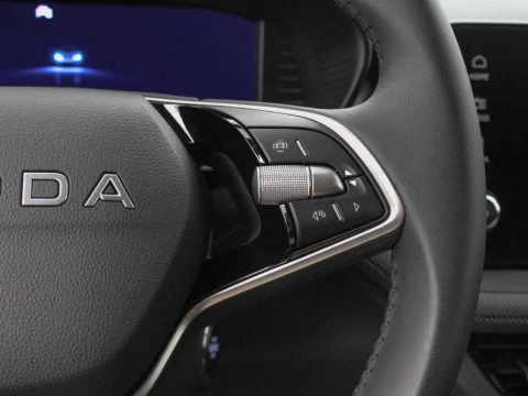 Skoda Fabia SELECTION 1.0 TSI 115 CV