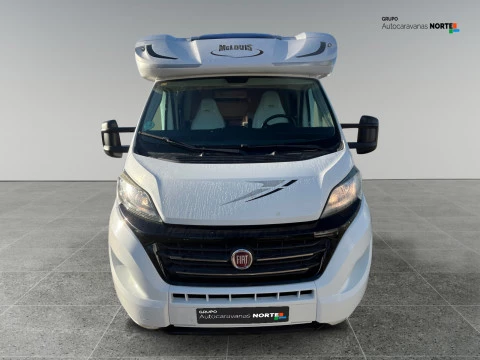 MCLOUIS MC4 MC4 34 GOLD