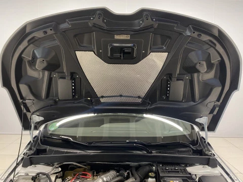 Renault Megane  1.8 TCe GPF RS Trophy 221kW