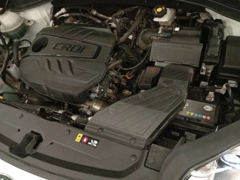 Kia Sportage 1.6 MHEV Business 100kW (136CV) 4x4